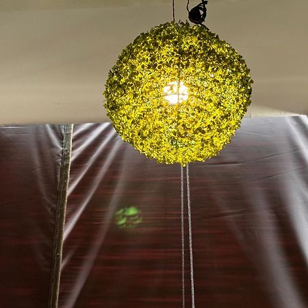 Rukmani Villas Group Of Rukmani Home Stay ماثورا المظهر الخارجي الصورة